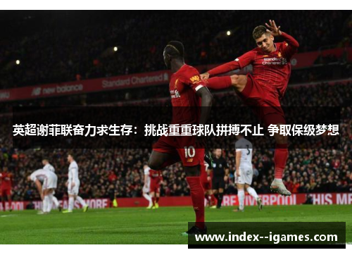 英超谢菲联奋力求生存:挑战重重球队拼搏不止 争取保级梦想 英超谢菲联奋力求生存:挑战重重球队拼搏不止 争取保级梦想