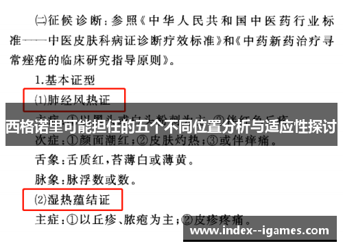 西格诺里可能担任的五个不同位置分析与适应性探讨 西格诺里可能担任的五个不同位置分析与适应性探讨