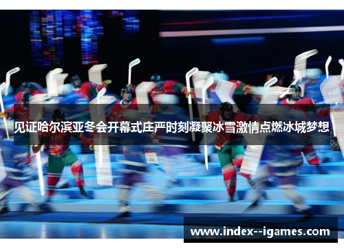 见证哈尔滨亚冬会开幕式庄严时刻凝聚冰雪激情点燃冰城梦想