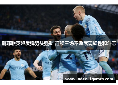 谢菲联英超反弹势头强劲 连续三场不败展现韧性和斗志 谢菲联英超反弹势头强劲 连续三场不败展现韧性和斗志