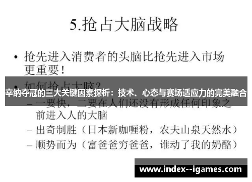 辛纳夺冠的三大关键因素探析:技术、心态与赛场适应力的完美融合 辛纳夺冠的三大关键因素探析:技术、心态与赛场适应力的完美融合