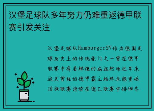 汉堡足球队多年努力仍难重返德甲联赛引发关注 汉堡足球队多年努力仍难重返德甲联赛引发关注