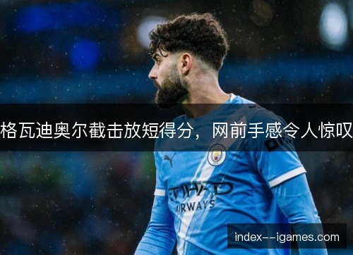 格瓦迪奥尔截击放短得分，网前手感令人惊叹